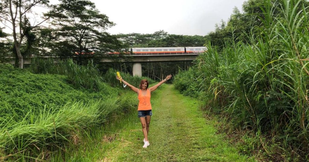 Discover the Natural Beauty of Rail Corridor with The Sen Condo Beauty World The Perfect Blend of Serenity and Active Living in Singapore